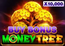 Money Tree Buy Bonus - Spin City - Congo